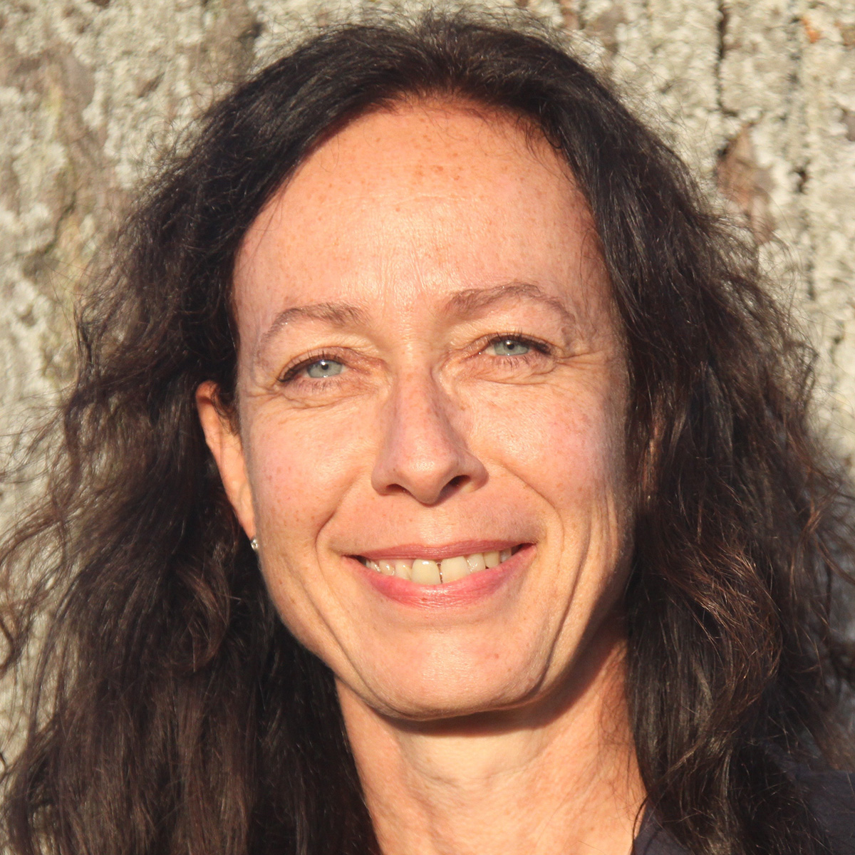 Petra Profil