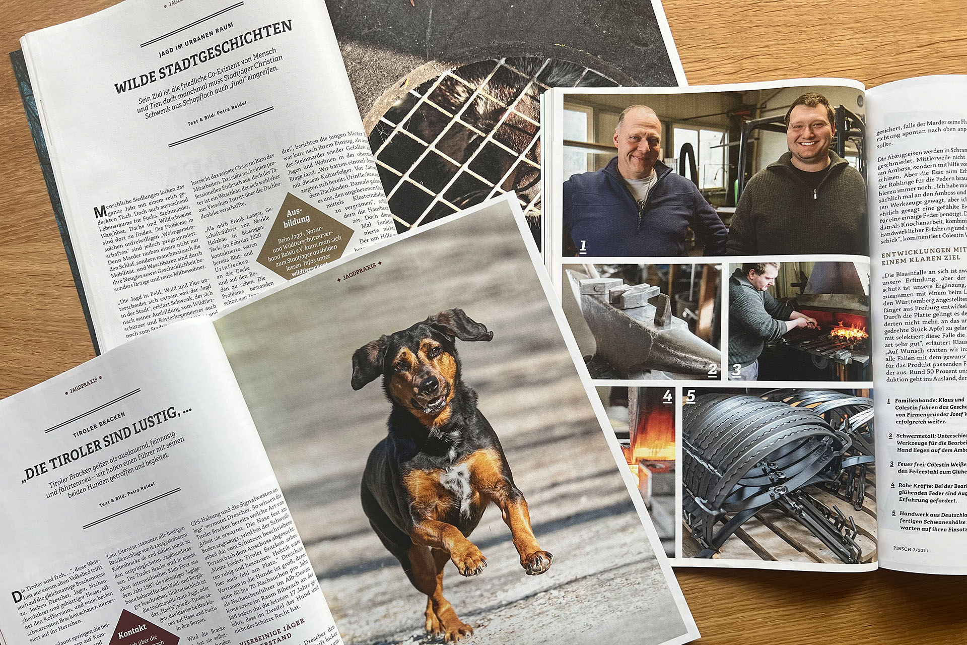 Publikumsmagazine